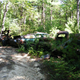 Illustration for article titled Massive Secret Mustang Junkyard Found In Rhode Island Forest
